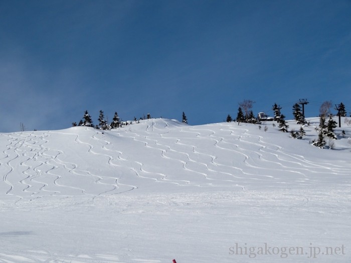 バーと信号機の二刀流！ 志賀高原 寺子屋スキー場 寺子屋クワッドリフト -