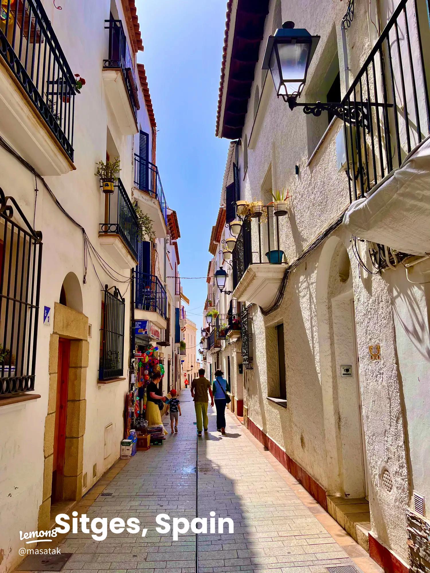 バス旅で快適！スペイン・アンダルシアの絶景小都市ミハスやロンダなどを巡る感動ツア