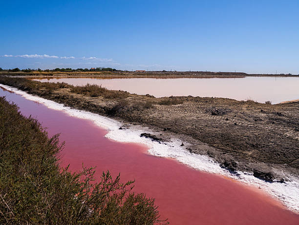 カスピ海の環境問題Ocean Newsletter海洋政策研究所 -