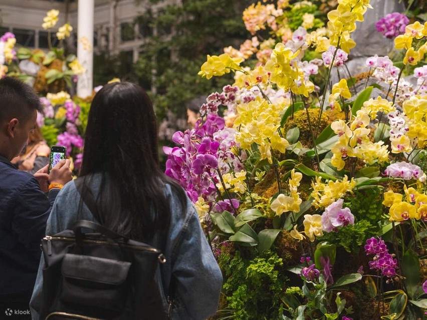 ニューヨーク植物園ウエスト ブロンクス- ツアーとアクティビティエクスペディア