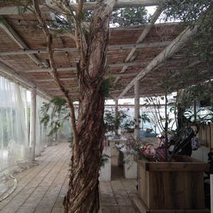 市場前駅 東京 周辺 カフェ・スイーツの予約・クーポンホットペッパーグルメ