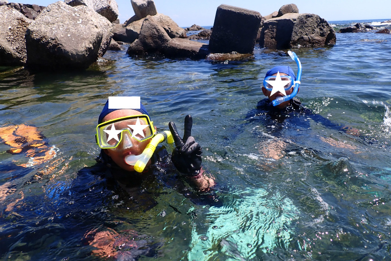 真鶴 琴ヶ浜 シュノーケリングTikTok