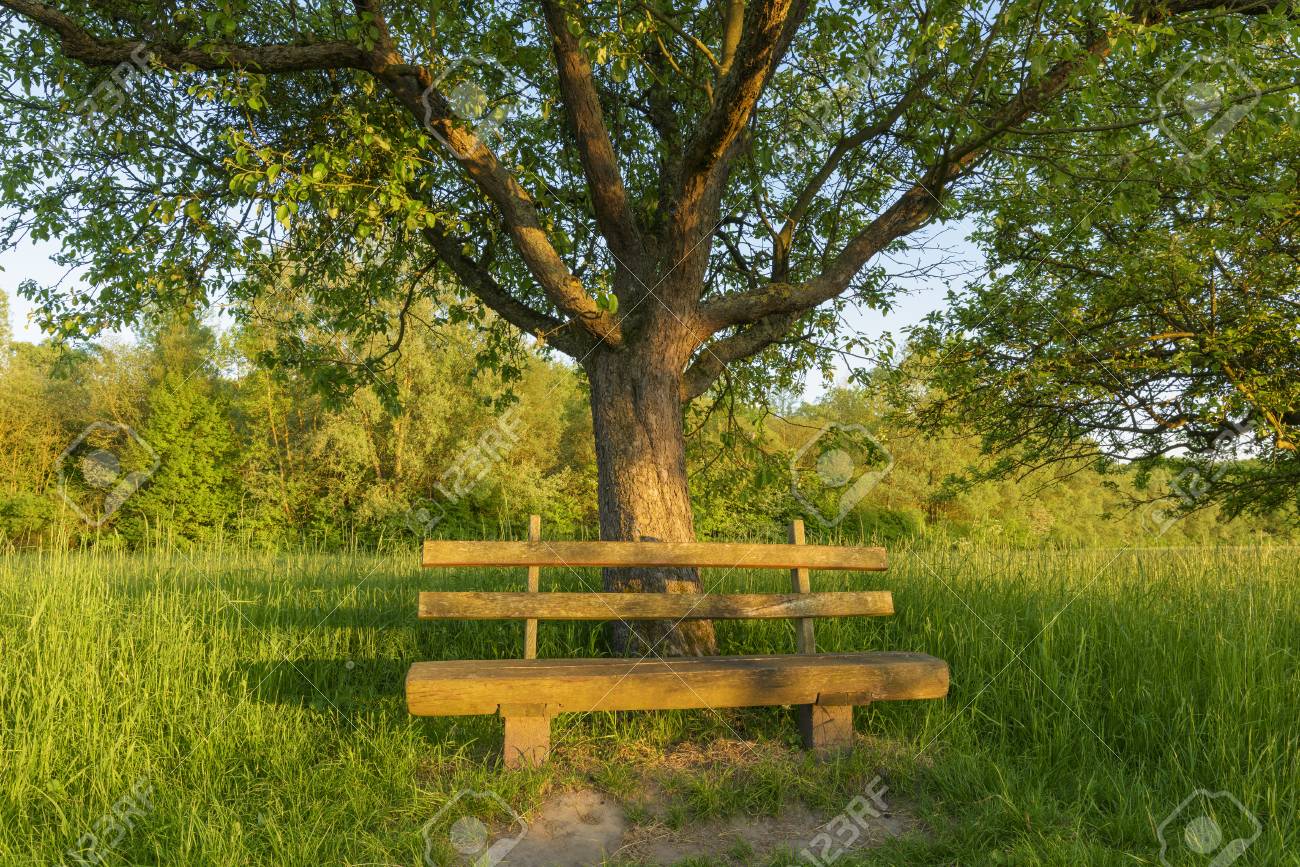 屋外用木製ガーデンベンチ、ヨーロッパ風ベンチ、ガーデンチェアー屋外、ローズガーデンベンチ、ダブルベンチ、庭、ポーチ、公園に最適 WhAmazon.co.jp: 屋外ガーデンベンチ、パティオベンチ公園ベンチ屋外会話ソファ、テラス公園ガーデンベンチ、屋外金属無垢材2-3人