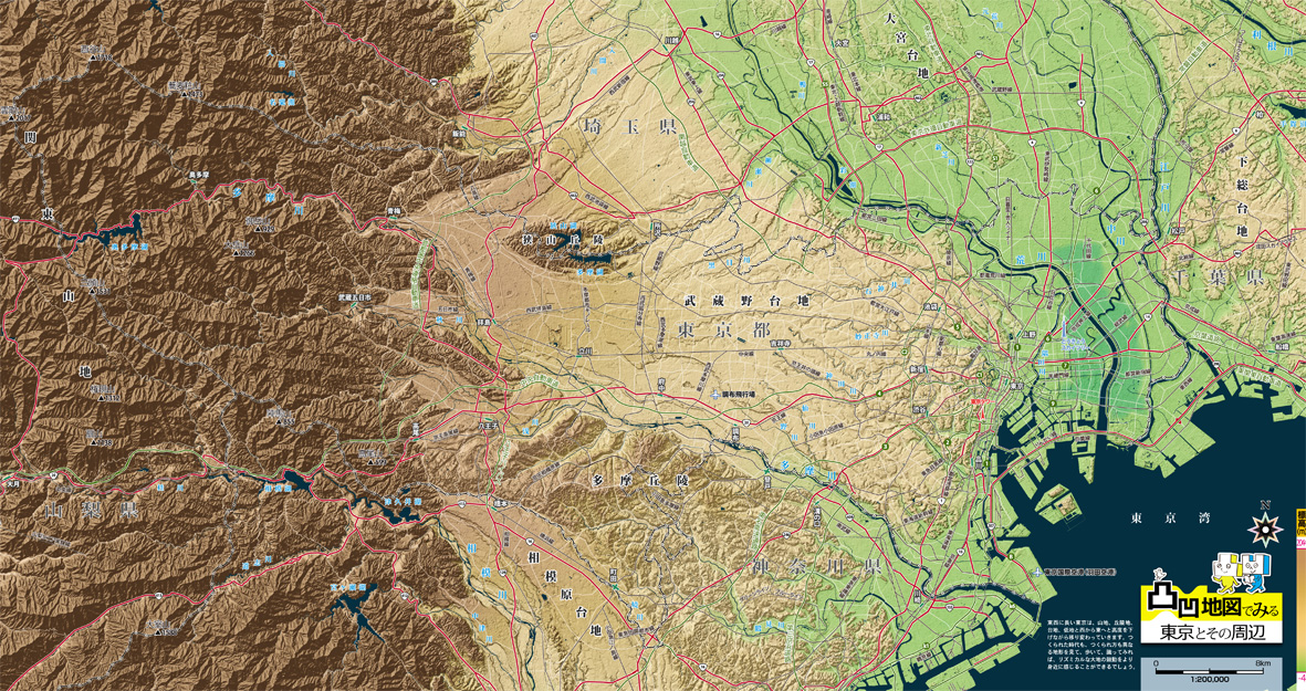 シンプルな東京都の地図上の形のイラスト素材78653548- PIXTA