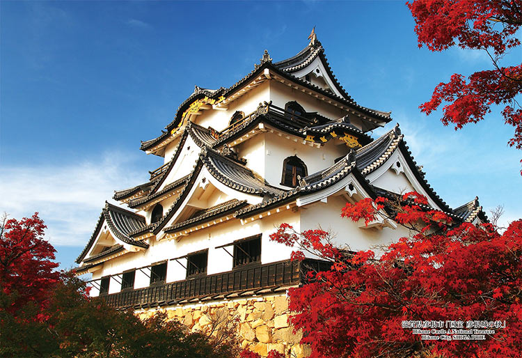 彦根観光ガイド : 公益社団法人 彦根観光協会