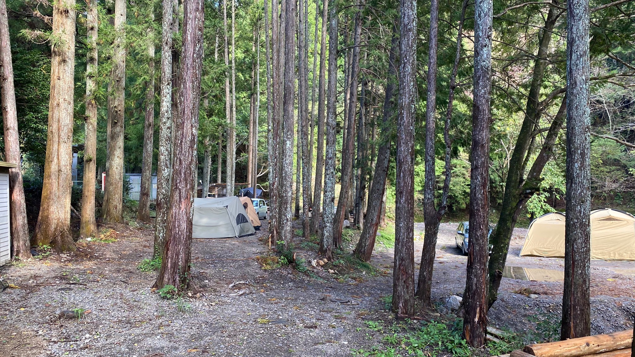 夏でも涼しいキャンプ場100選。1位は「御岳自然休養林胡桃島キャンプ場 岐阜 」 キャンピングカー株式会社「くるまの旅ナビ」調べ