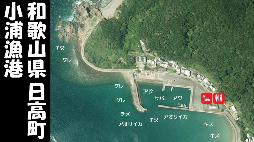 土日はコチラ※ 和歌山県岩出市 つりぼりで「コイ釣り！」初心者から上級者まで楽しめます♪手ぶらでＯＫ ファミリー、カップル、女性同士にもおススメ根来桜台つりセンター -