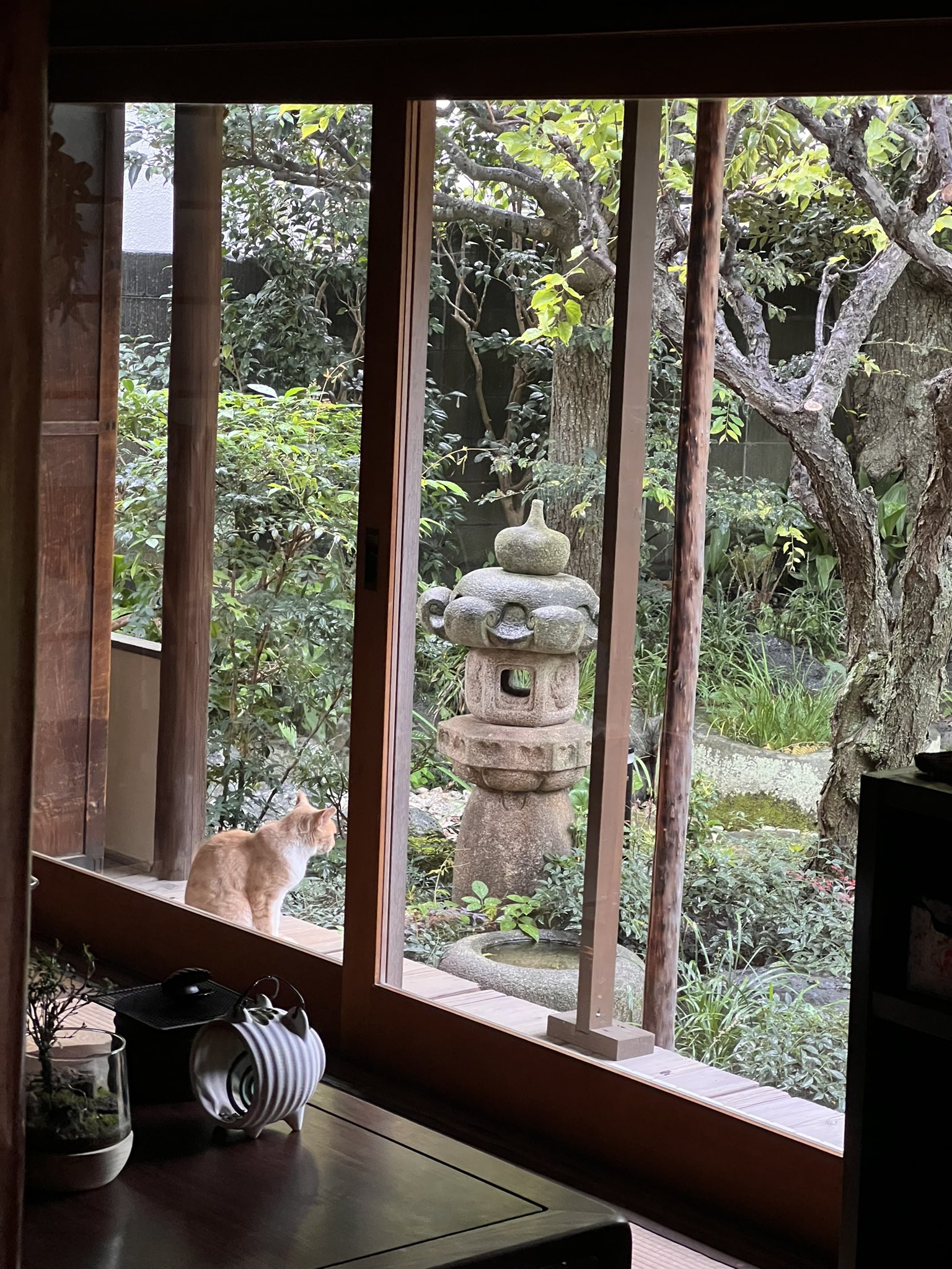 古民家カフェ ユキノシタスポット情報江の島・鎌倉ナビ江ノ島と鎌倉のおすすめをたっぷりご紹介する江ノ電・小田急の公式観光情報サイト