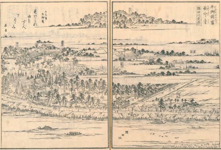 東京の盆踊り 東京のお祭り