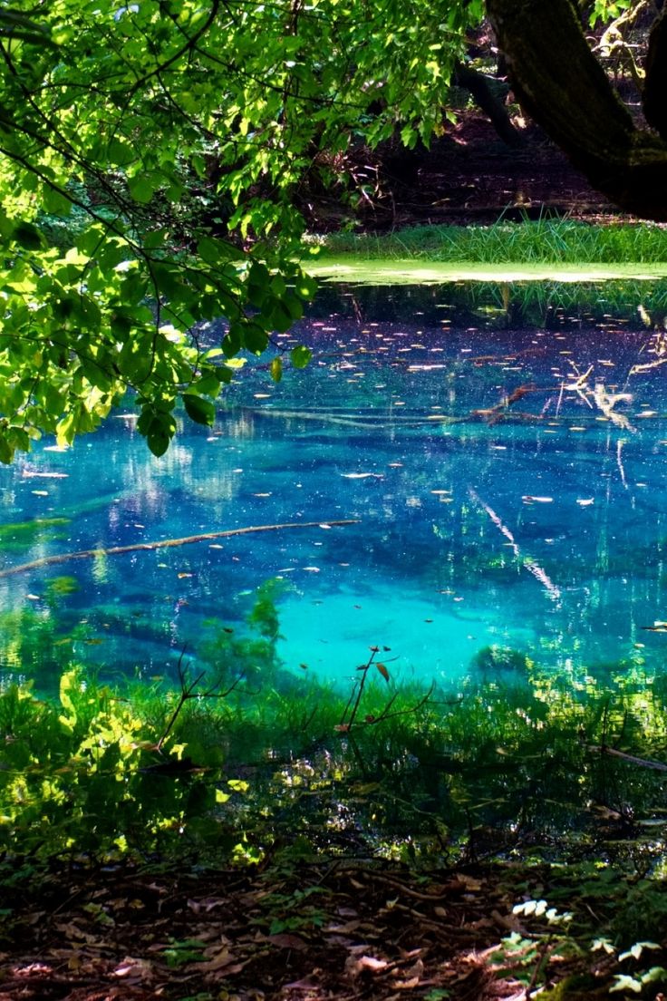 丸池様山形県飽海郡のおすすめ観光・レジャースポット旅色