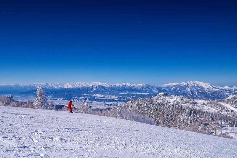寺子屋スキー場 - 気になる写真