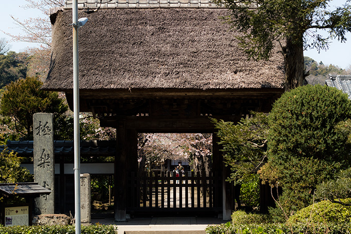 極楽寺 日本遺産- 鎌倉市観光協会時を楽しむ、旅がある。～鎌倉観光公式ガイド～