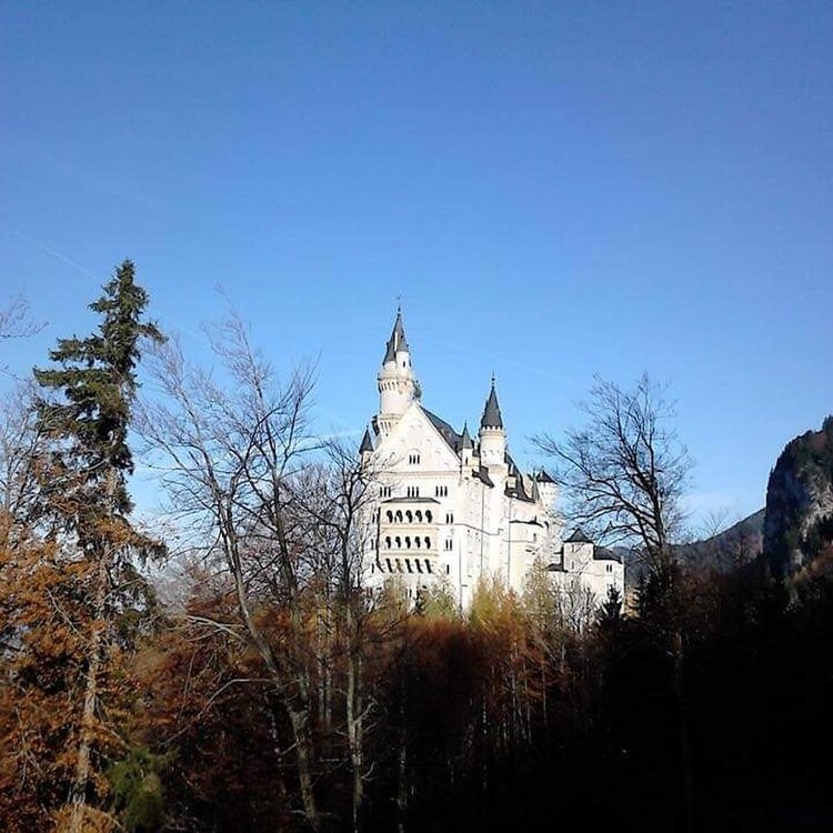 ノイシュヴァンシュタイン城はなぜディズニー城と呼ばれるのか？- 2025