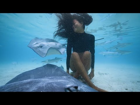 欧米のvloggerによる「出産動画」はトレンドになるか？ - ガラパゴスの蛙