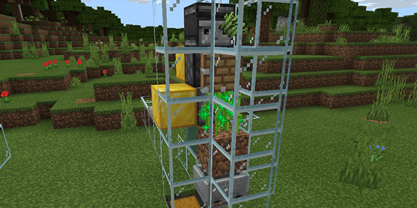 サトウキビ畑を新設 : マインクラフトてんやわんや開拓記