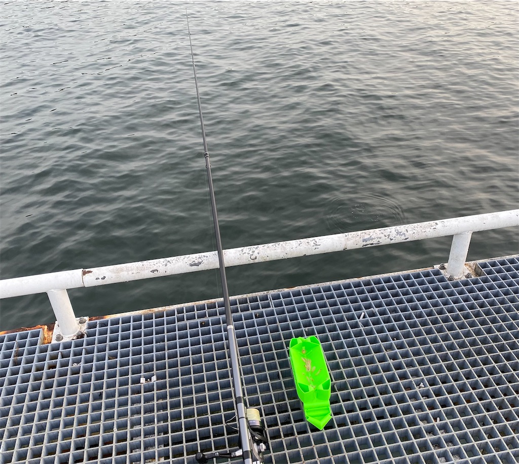 豊浜海釣り公園でサビキ釣り 雪中釣行でマイワシ109匹にサッパ40匹TSURINEWS