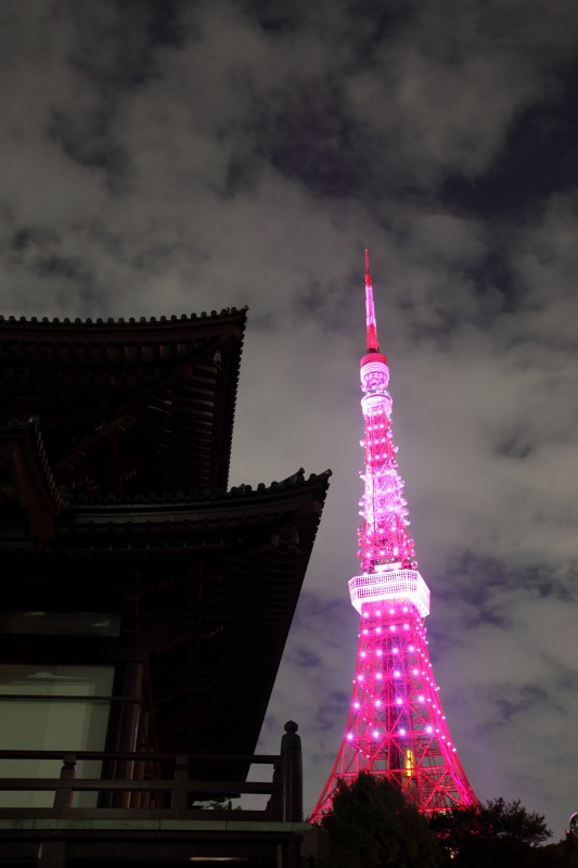 ピンクリボンのライトアップがされた東京タワーの写真素材5665704- PIXTA