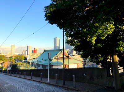 東横フラワー緑道フェスタ@flower_ryokudoX