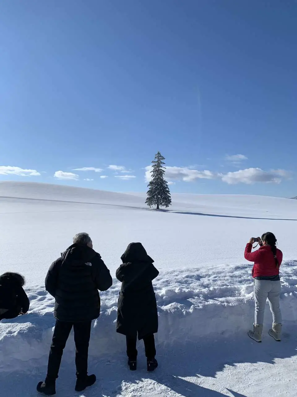 美瑛駅発着 2 3〜2