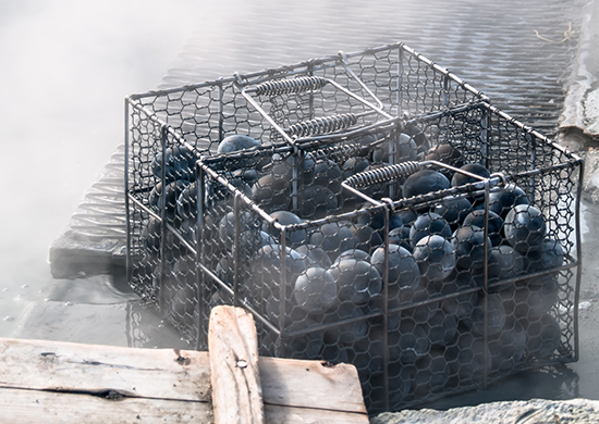 大涌谷 大地のエネルギーが体感できるパワースポット！名物の黒たまご他“黒グルメ”も堪能！ 神奈川県箱根町静岡新聞アットエス