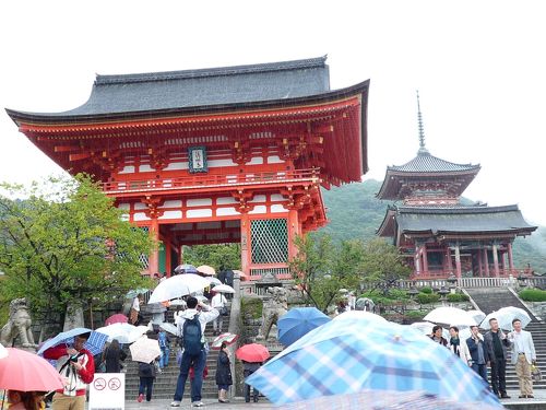 京都デート雨の日TikTok
