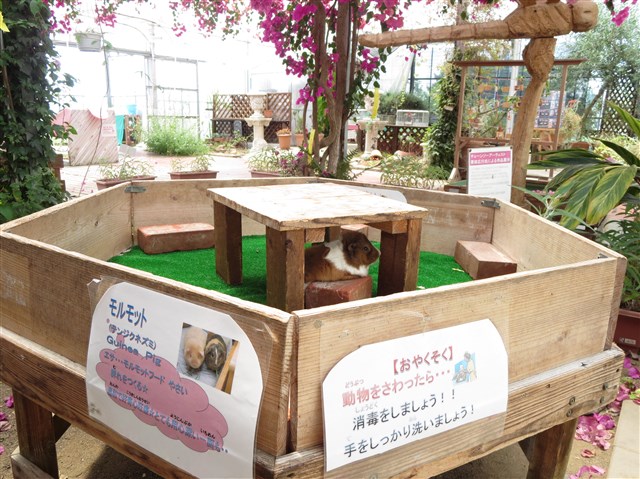 猪苗代ハーブ園 アクセス・営業時間・料金情報 -