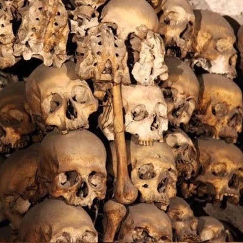 パリのカタコンブ：入場券 + オーディオガイド • おすすめ