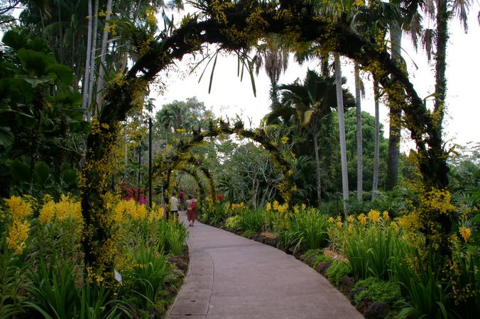 シンガポール初の世界遺産 ボタニック・ガーデン徹底ガイドiyomemo いよめも