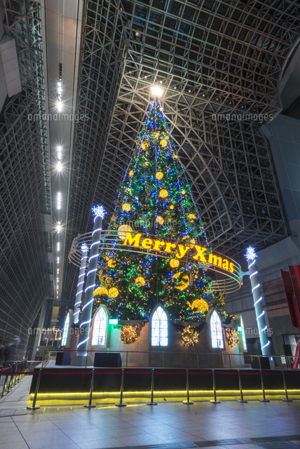 京都駅 クリスマスイルミネーション２０２４ SNS映えする冬の京都のお勧め観光スポット紹介