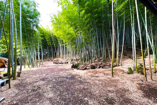 キャンプがもっとおもしろくなる！８つの撮影TIPS – 楽しむ様子から料理、風景、星、雨の日の撮影まで - NICOSTOP