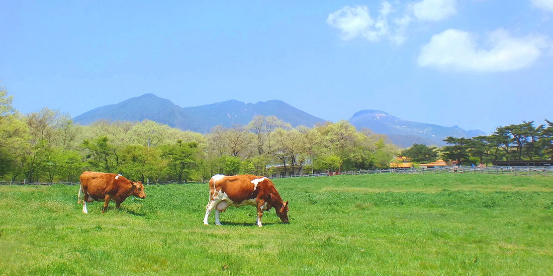 那須高原」オススメ観光スポットBest 17KITAKAN SNAP