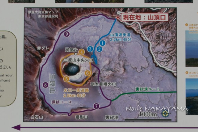 なぜ伊豆大島は近くて遠いの？ - 南房総 花海街道