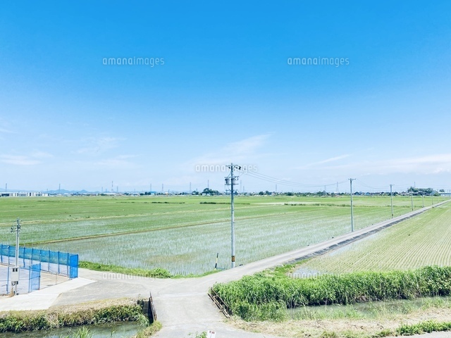 山中の分かれ道 イラスト素材4030047- フォトライブラリ