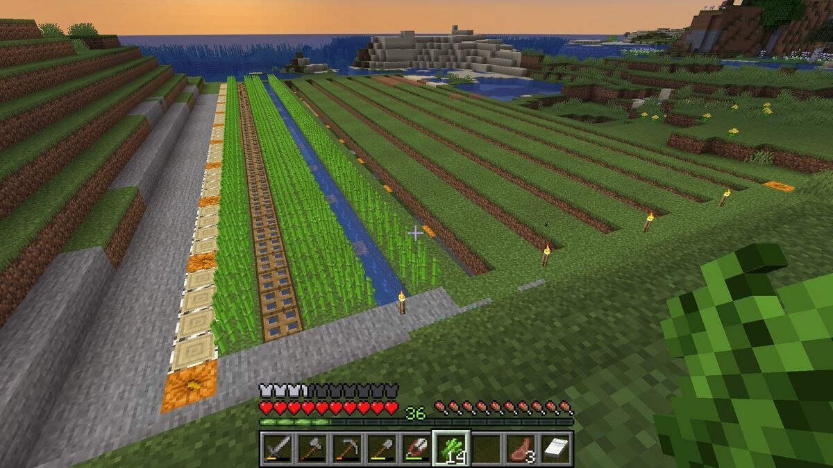 マイクラ サトウキビの基礎から初心者でも簡単な自動回収装置の作り方まで徹底解説マイクラゼミ