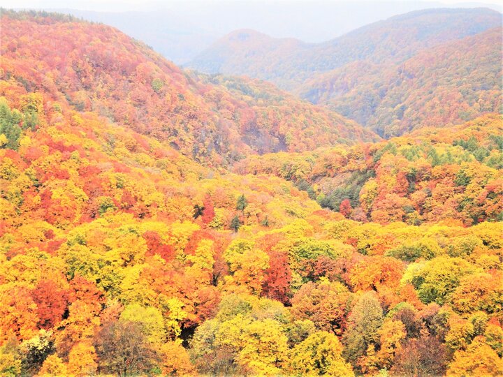 城ヶ倉大橋 - 見どころ、アクセス &