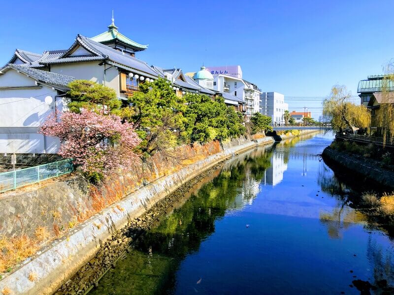 伊東市に、桜のトンネル出現 春の訪れ「ソメイヨシノ」スポット紹介 静岡県伊東市3カ所のソメイヨシノ開花情報を公開伊東市役所観光経済部観光課