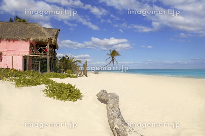 Like a fairlytale 멕시코역사メキシコの歴史사진술사진작가写真撮影写真家photographyphotographermexicoメキシコ멕시코墨西哥traveling여행トラベルhighway고속도로ハイウェイnature자연自然trees