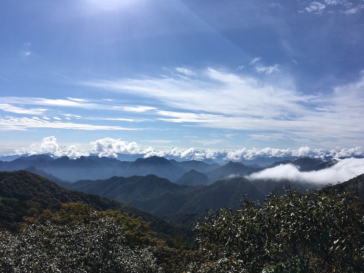 軽井沢 旧碓氷峠見晴台 の紅葉 群馬県紅葉名所2025