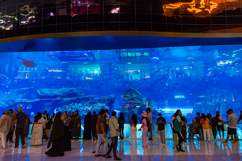 ドバイ水族館のチケット - Hellotickets