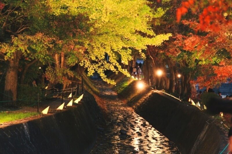 河口湖もみじ回廊の駐車場無料はある？混雑する時間帯はいつか調べたら旅スタイル│旅行で気分転換もいいな