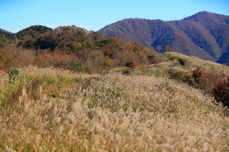 蒜山大山スカイライン日本絶景街道を走る