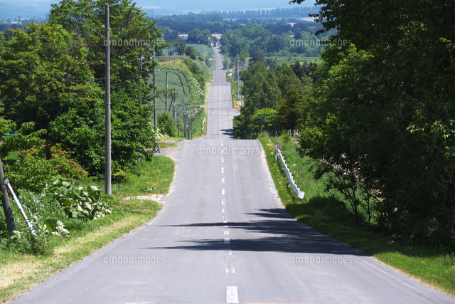 ジェットコースターの路日本最大級のSNS映え観光情報 スナップレイス