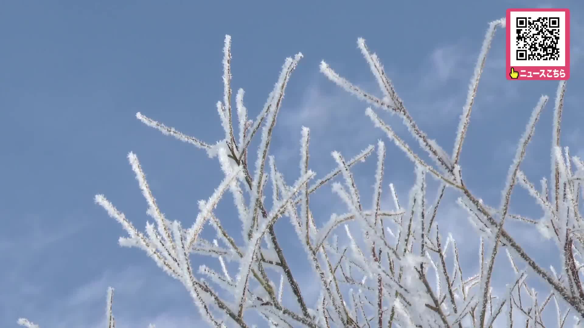 12月から1月の旭川旅行気温や積雪は？おすすめの服装は？Kitaiko