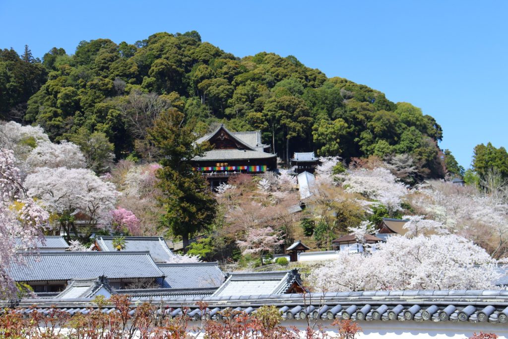 奈良県桜井市のおすすめの観光スポット・定番名所 - Prism Japan