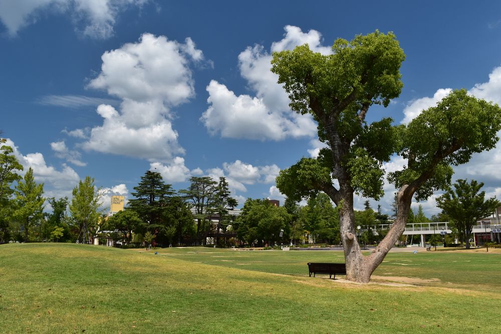 最新 倉敷みらい公園 -