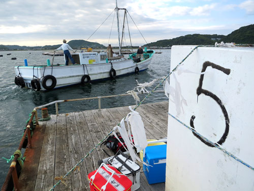 千葉県外房勝浦の釣果情報Costa Fishing Service