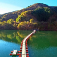 麦山の浮橋 3 6 月