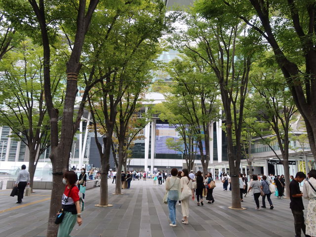 けやきひろば 埼玉県 の情報ウォーカープラス