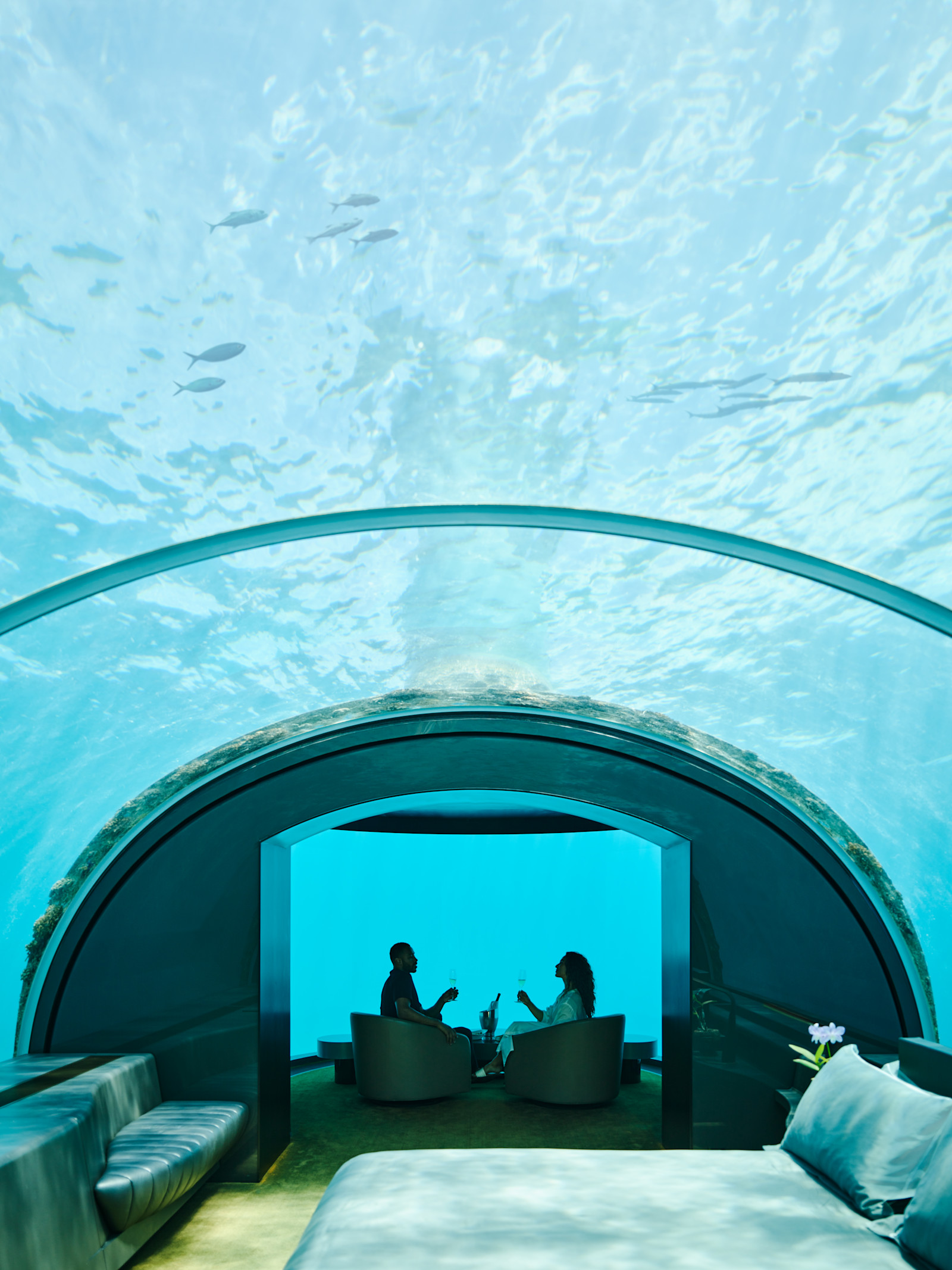 2025年最新 モルディブの水中レストランでロマンティックなお食事を！ティースタイル -