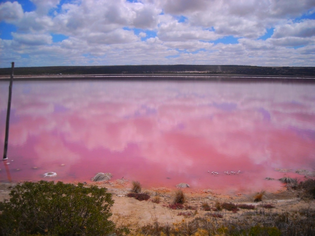 イオン レイクタウンのイベント広場「◯◯の広場」はどこにある？ ～光の広場・時の広場・翼の広場・花の広場・水の広場・木の広場・噴水広場・空の広場～